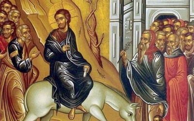 Homélie sur la fête des Rameaux et l’évolution du Christianisme.