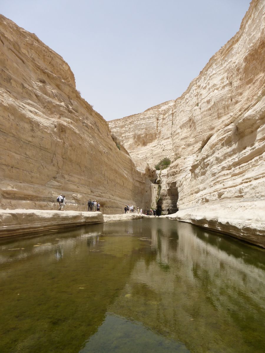 Canyon d'Ein Avdat